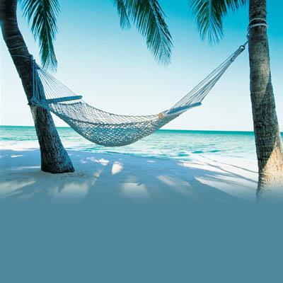 hawaii-beach_hammock